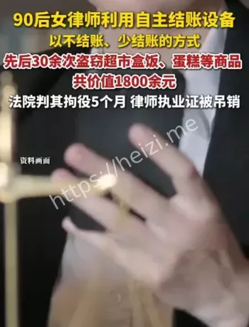 90后女律师多次盗窃判刑