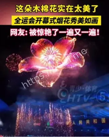 全运会开幕式木棉花烟火