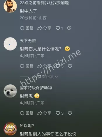 校运会射箭事故