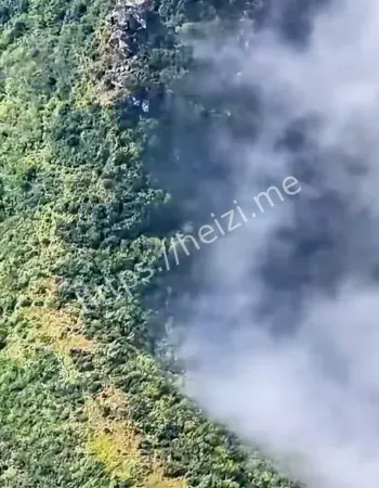 准禁止锋照进现实