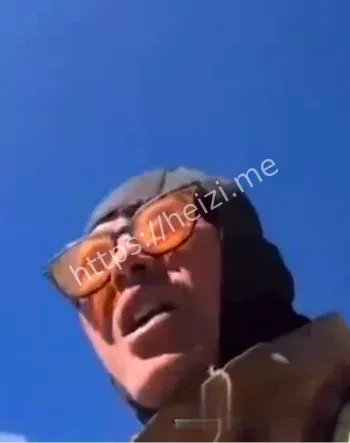 白兰鸽富哥视频