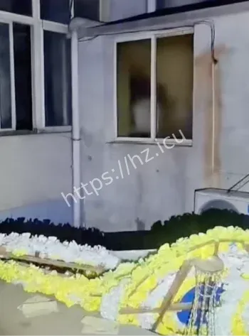 小龙探险萌脸现身