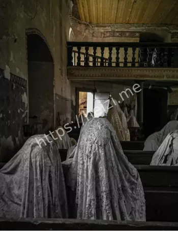 波利长老堂游客被抓