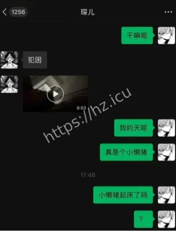 王琛曝光聊天记录